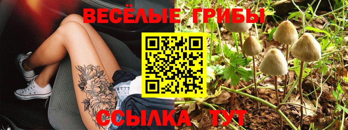 Галлюциногенные грибы ЛСД Черкесск