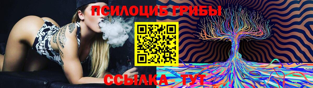 Черкесск  Псилоцибиновые грибы MAGIC MUSHROOMS  Псилоцибиновые грибы GOLDEN TEACHER  наркота  Вход с VPN 